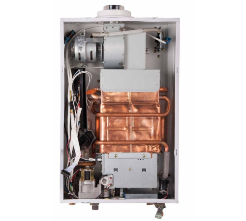 Газова колонка THERMO alliance JSG20-10ETP18 (SILVER) Газова колонка THERMO alliance JSG20-10ETP18 (SILVER)