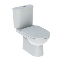 Унитаз-компакт Geberit Selnova 501.753.00.1 с сиденьем из дюропласта