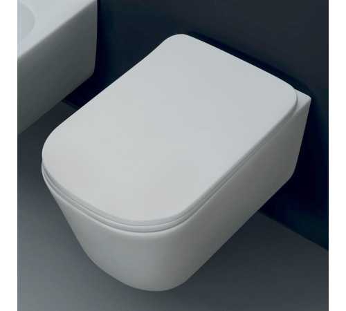Кришка для унітаза Kerasan Tribeca 5191 01 slim, soft-close, фото 2 Кришка для унітаза Kerasan Tribeca 5191 01 slim, soft-close Кришка для унітаза Kerasan Tribeca 5191 01 slim, soft-close, фото 2 Кришка для унітаза Kerasan Tribeca 5191 01 slim, soft-close