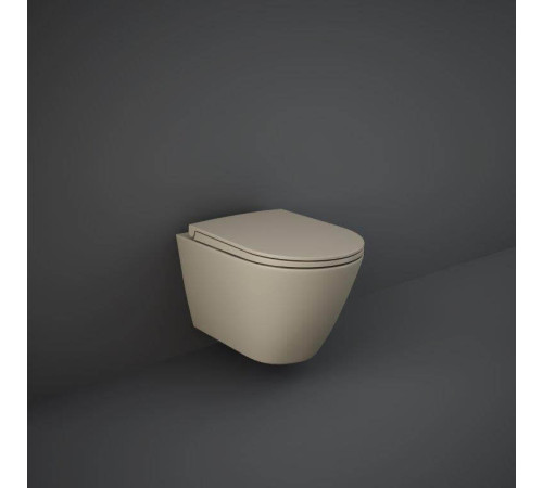 Кришка для унітазу RAK Ceramics Feeling Sanitaryware RSTSC3901514 Soft Close, Quick Release Кришка для унітазу RAK Ceramics Feeling Sanitaryware RSTSC3901514 Soft Close, Quick Release