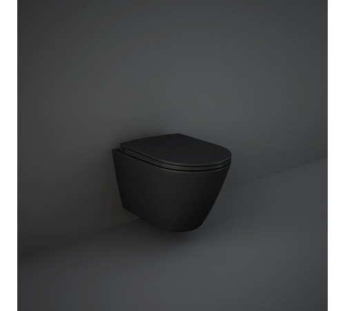 Кришка для унітазу RAK Ceramics Feeling Sanitaryware RSTSC3901504 Soft Close, Quick Release Кришка для унітазу RAK Ceramics Feeling Sanitaryware RSTSC3901504 Soft Close, Quick Release