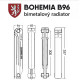 Біметалевий радіатор BOHEMIA B96 300/96