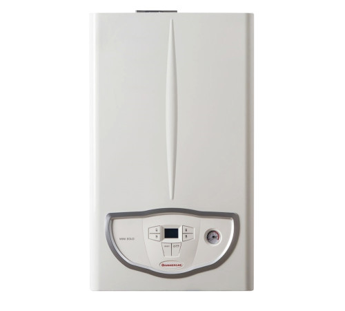 Газовий котел Immergas Eolo Mini 24  3Е (+труба і кут)
