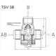 Триходовий змішувальний клапан Regulus TSV3B 1" DN25 55 С° (11281)
